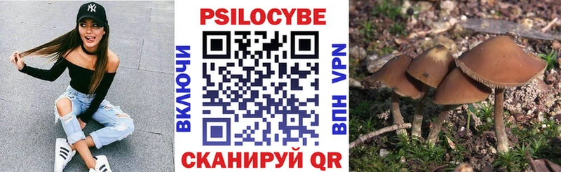 Псилоцибиновые грибы Psilocybe  Купить где  Уварово 
